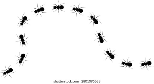 Ant walk icon with insect trail, crawling ants path bug movement line and tiny animal silhouettes, black flat vector illustration elements isolated on white background for nature design