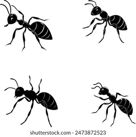      An ant is walking silhouette vector illustration. 
