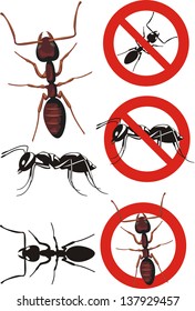 ant - warning signs