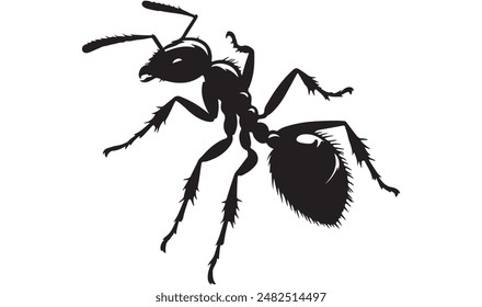 Ant2 silhouette vector and illustration artwork 