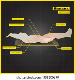 Antagonistic muscle exercises and Workouts