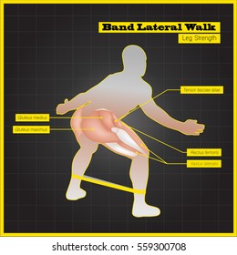 Antagonistic muscle exercises and Workouts