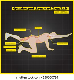 Antagonistic muscle exercises and Workouts