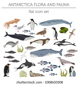 Antarctic, Antarctica flora and fauna flat elements. Animals, birds and sea life big set. Build your geography infographics collection. Vector illustration