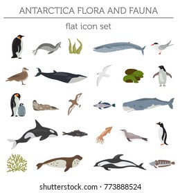 Antarctic, Antarctica flora and fauna flat elements. Animals, birds and sea life big set. Build your geography infographics collection. Vector illustration