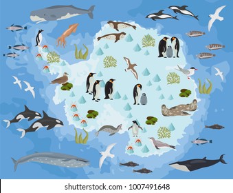 Antarctic, Antarctica,  flora and fauna map, flat elements. Animals, birds and sea life big set. Build your geography infographics collection. Vector illustration