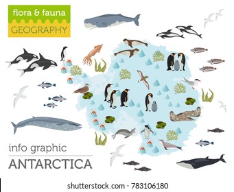 Antarctic, Antarctica,  flora and fauna map, flat elements. Animals, birds and sea life big set. Build your geography infographics collection. Vector illustration