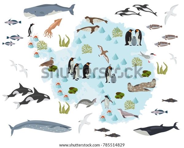 Antarctic Antarctica Flora Fauna Map Flat Stock Vector (Royalty Free ...