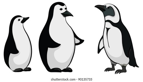 Antarctic black and white emperor penguins on white background. Vector