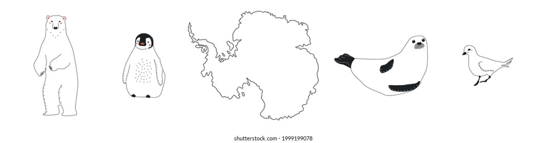 Antarctic doodle animal isolated vector illustration. Scandinavian style collection. Kid graphic. Kids concept. 