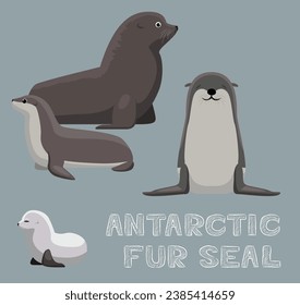 Antarctic Fur Seal Cartoon Vector Illustration
