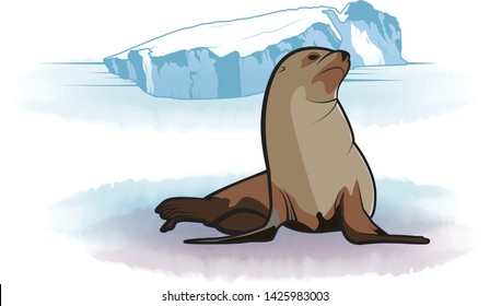 Antarctic Fur Seal Vector Illustration