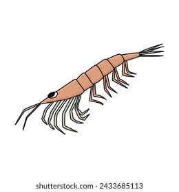 Antarctic krill. Hand drawn outline sketch cartoon animal of Antarctica. Polar isolated illustration on the white background