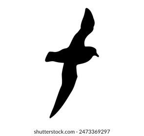 Icono de la silueta del Petrel Antártico. Vector Imagen.