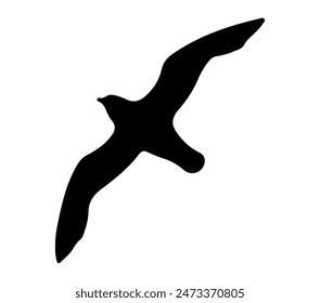 Antarctic Petrel silhouette icon. Vector image.