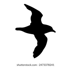 Antarctic Petrel Silhouette Stock Vector Illustration.