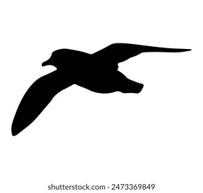 Antarctic Petrel vector. Antarctic Petrel vector icon in flat style.