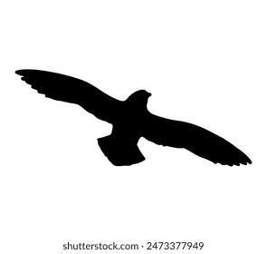 Antarctic Petrel vector. Antarctic Petrel vector icon in flat style.