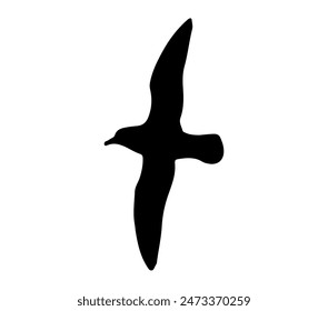 Arte de diseño de Ilustración vectorial de Petrel Antártico.