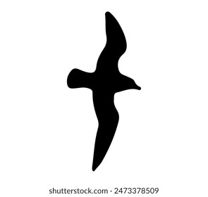 Antarctic Petrel vector illustration design art.