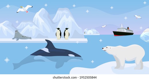 Antarctica beautiful wildlife, vector illustration. Cute penguins, seal on iceberg, whale in blue ocean water. Travel to South Pole, winter landscape