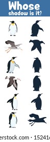 Antarctica birds riddle for children where whose shadow