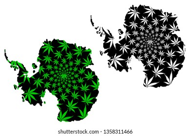 Antarctica continent - map is designed cannabis leaf green and black, South Pole map made of marijuana (marihuana,THC) foliage,