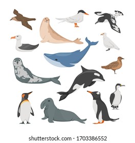 Antarctica flora. Animals, birds and sea life. Seal, petrel, penguins, albatross, blue whale, sea leopard, cape Dove, white plover, antarctic tern blue-eyed cormorant vector illustration