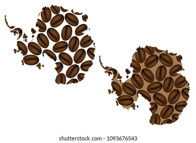 Antarctica -  map of coffee bean,  Antarctica map made of coffee beans,