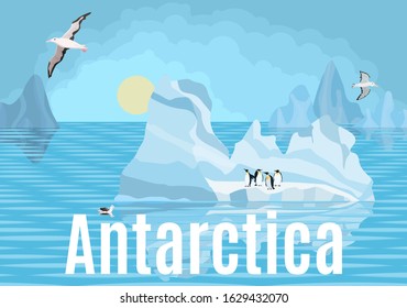 Antarctica penguins and albatrosses on icebergs by the sea