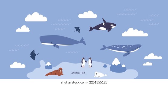 Antarctica, polar landscape. Antarctic pole fauna, marine animals in sea, ocean water, on island. Cute penguins, seals, whales in arctic nature. Childish Scandinavian flat vector illustration