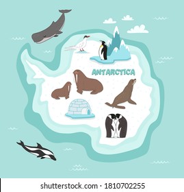 Antarctica wildlife. Animal, bird, underwater life and nature. Snowbound Antarctica continent discovery and exploration. North Pole mainland flora and fauna illustration. Vector northern wildlife map