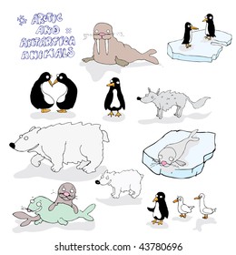 Antartica Animals