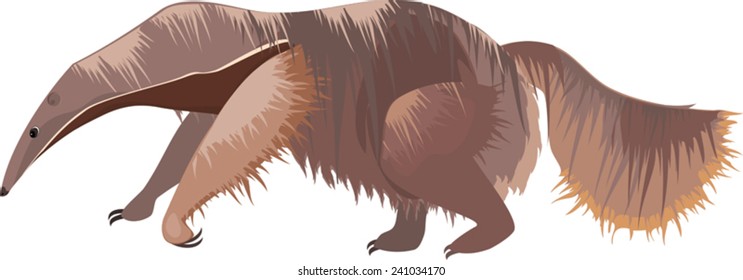 Anteater