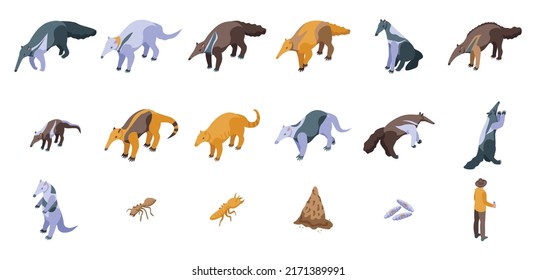 Anteater icons set isometric vector. Animal ant. Big giant