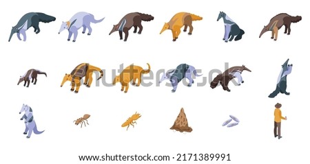 Anteater icons set isometric vector. Animal ant. Big giant
