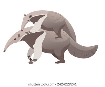 Anteater mammal cartoon animal design vector illustration isolated on white background