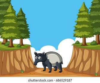 Anteater in the mountain illustration