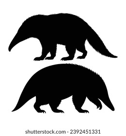 Anteater Silhouette on White Background