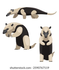 Anteater Tamandau Northern Animal Cartoon Character Vector Set