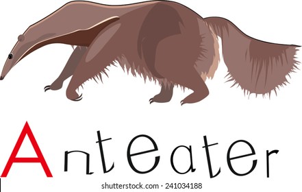Anteater with title