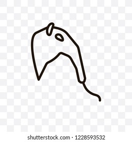 Anteater vector linear icon isolated on transparent background, Anteater transparency concept can be used for web and mobile