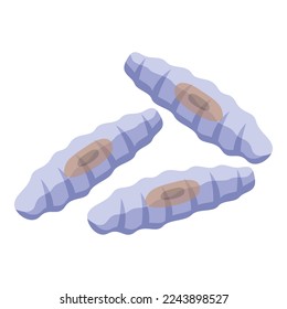 Anteater worms icon isometric vector. Australia baby. Animal tropical
