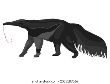 Anteaters illustration on isolated white background. Vector illustration animal from South America giant anteater. Simple design characters wildlife in flat style.