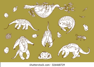 Anteaters (Tamandua) Vector Set. Hand Drawn Doodles Anteaters, Ants and Fruits.