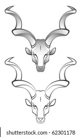 Antelope