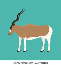 Antelope addax wildlife endangered species nature animal conservation goat mammal oryx character vector illustration