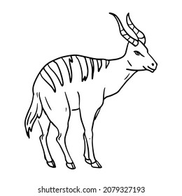 Antelope bongo in doodle style. Isolated vector.