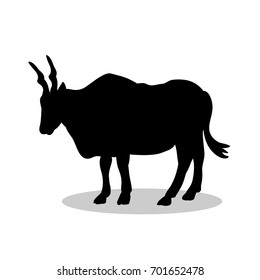 Antelope canna mammal black silhouette animal. Vector Illustrator.