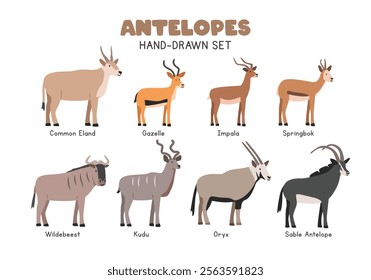 Antelope cartoon clipart set. Common eland, gazelle, impala, wildebeest, kudu, oryx, sable antelope vector illustrations in flat style. Hand-drawn wild animal concept